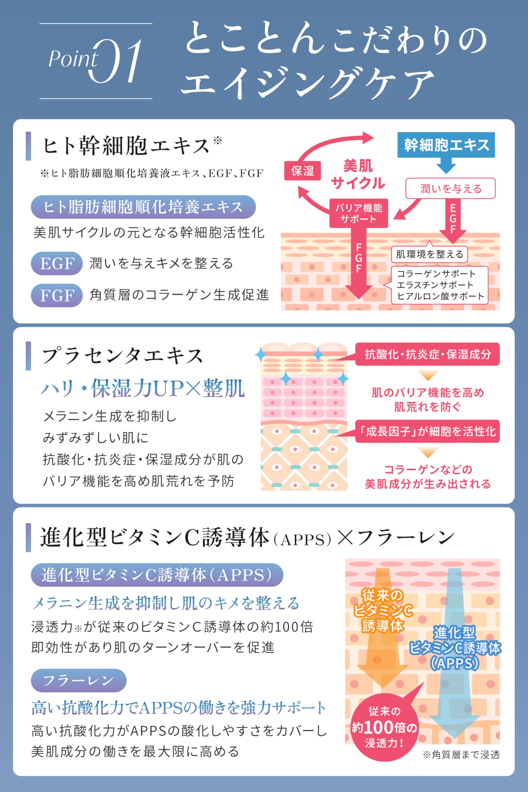 エイジングケア 基礎化粧品 幹細胞 フラーレン ビタミンC誘導体 エイジングケア 基礎化粧品 幹細胞 フラーレン ビタミンC誘導体