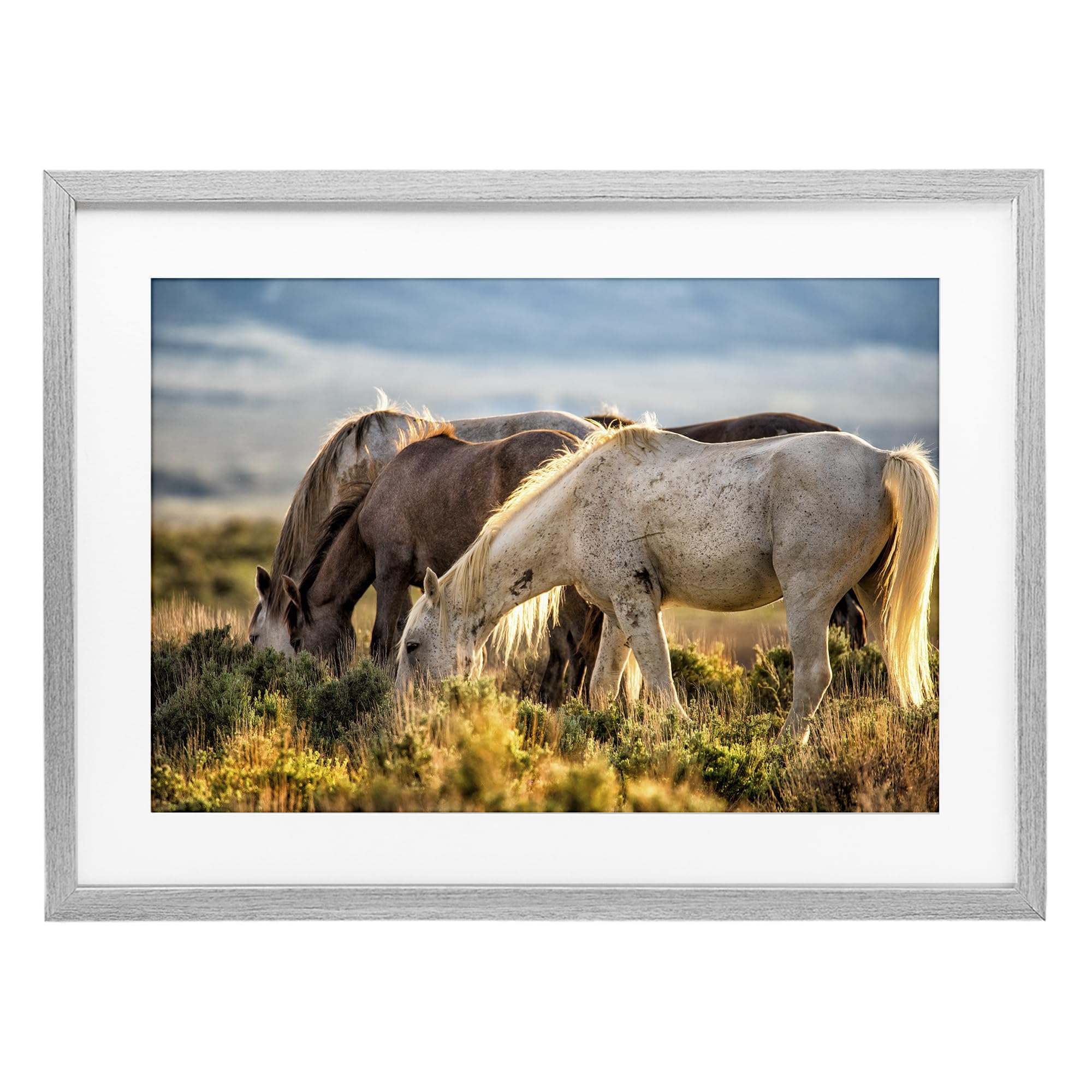 Stupell Industries Farmhouse Gray (Textured) 'Equine Evening Graze'| Framed Print Under Glass