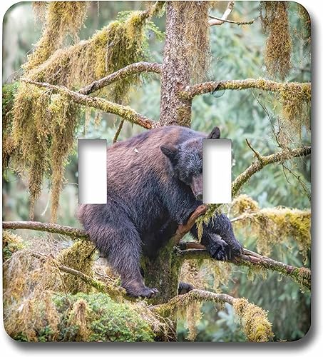 Miniatura 1 de 3dRose Black bear cub finds safety in a tree at Anan Creek. - Light Switch Covers (lsp-380595-2)