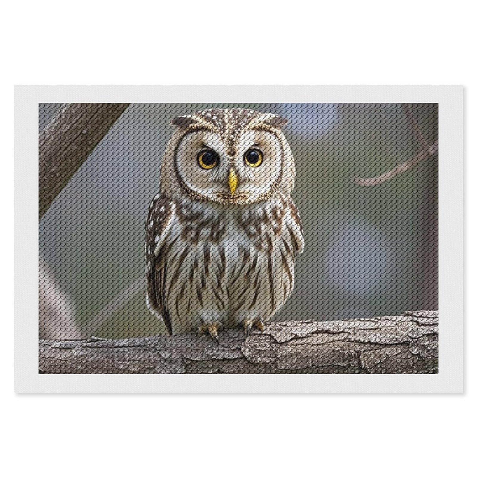 Cute Owl Diamond Painting Kits for Adults, DIY 5D Diamond Painting Kits for Beginners, Round Full Drill Diamond Dots Paintings, Diamonds Pictures Gem Art for Crafts Home Decor 8"x12"