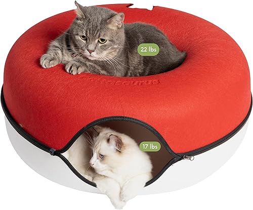 Cattasaurus - Cueva con ventana para varios gatos y gatos grandes de 30 a 45 libras, resiste arañazos, cama túnel desmontable y lavable, cómoda, en