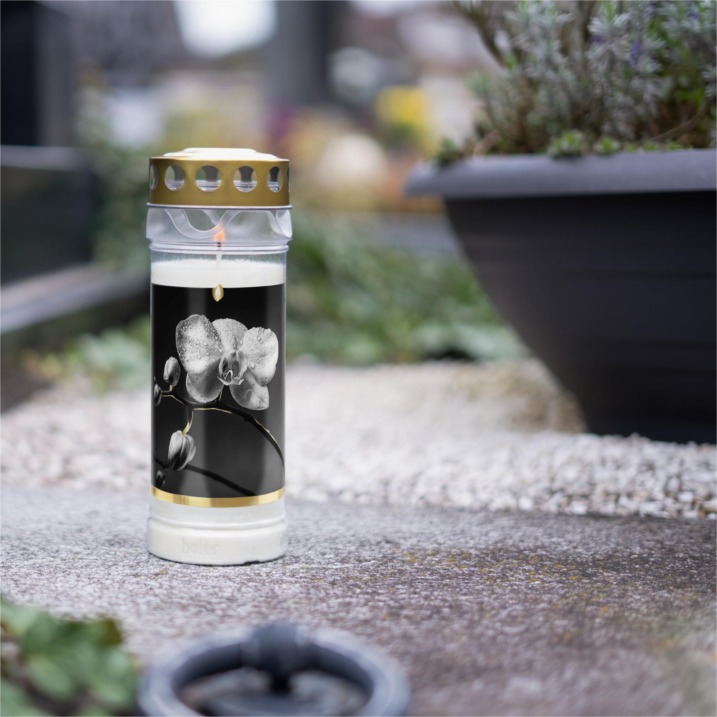 Set di 6 candele Hofer, durata 7 giorni – L'originale [Gold Select] resistente alla pioggia, candele con coperchio, luce per cimitero con motivo | decorazione funeraria