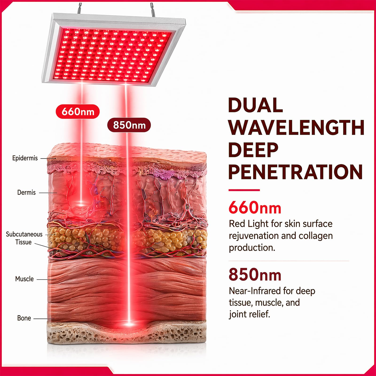 Rotlichtlampe mit 289 LED, 660nm & 850nm Infrarotlicht, 5 Helligkeitsstufen und Vollaluminiumrahmen, wärmelose Panellampe für Gesichtspflege Anti-Aging und Linderung von Muskelschmerzen