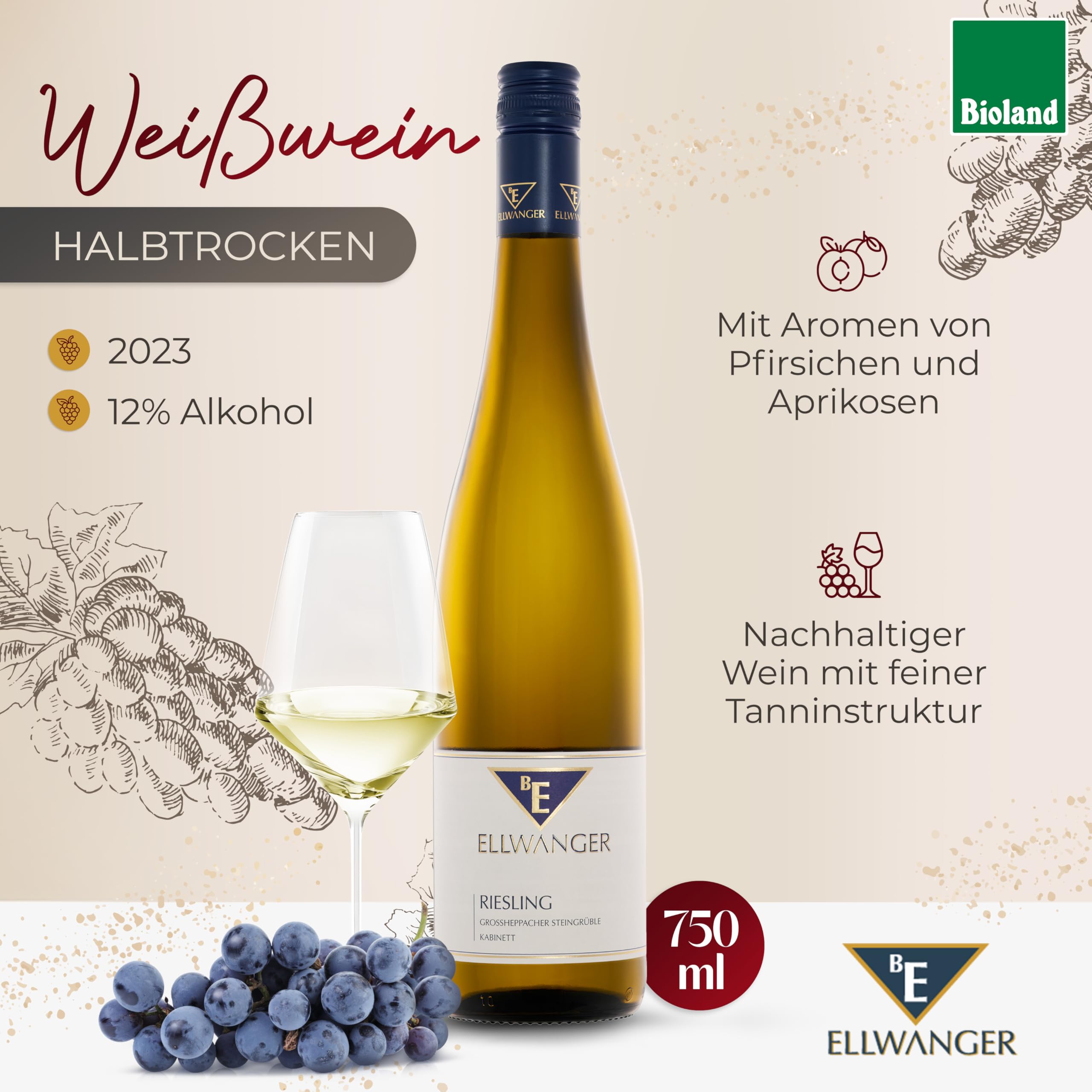 2023er Riesling Großheppacher Steingrüble Kabinett – 2. Platz „Best of Riesling“ | Fruchtiger Biowein mit Aromen von Aprikosen und Pfirsichen | Weißwein Halbtrocken aus Württemberg (6x0,75)