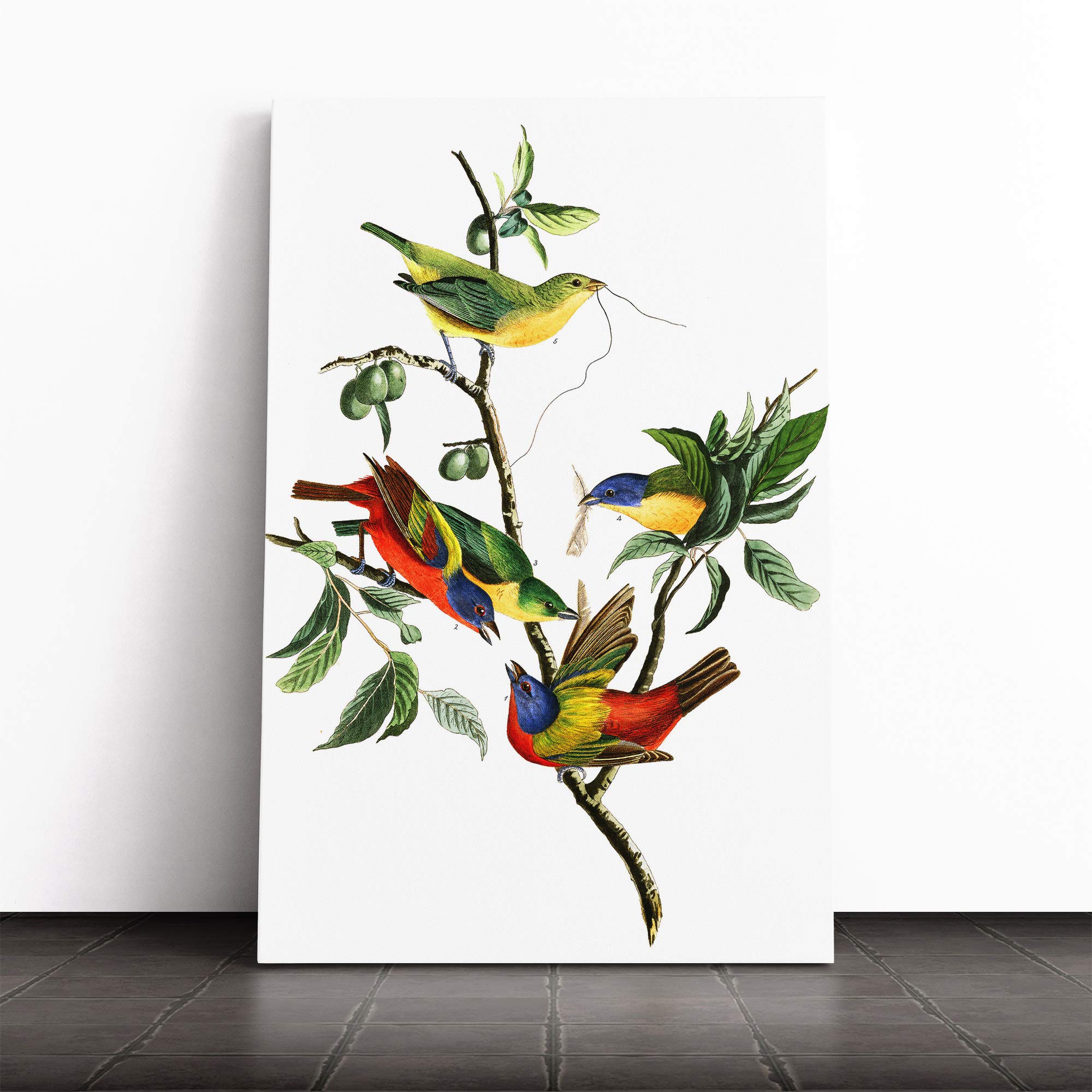 John James Audubon Painted Finch Canvas Print | Gallery Wrapped 30mm Frame Wall Art | 24x16 inches | Ready to Hang | Modern Picture | Living Room Bedroom Lounge Office