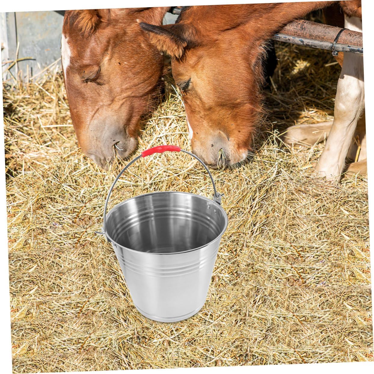 Stainless Steel Horse Feed Bucket Water Feeder for Stalls Portable Pail Handle