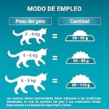 Ver la foto 5