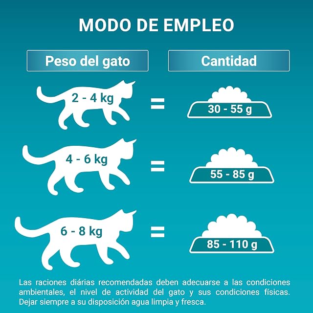 Foto 5 de 6 de Purina ONE Bifensis pienso gato digestión Sensible Salmón 8x800 g