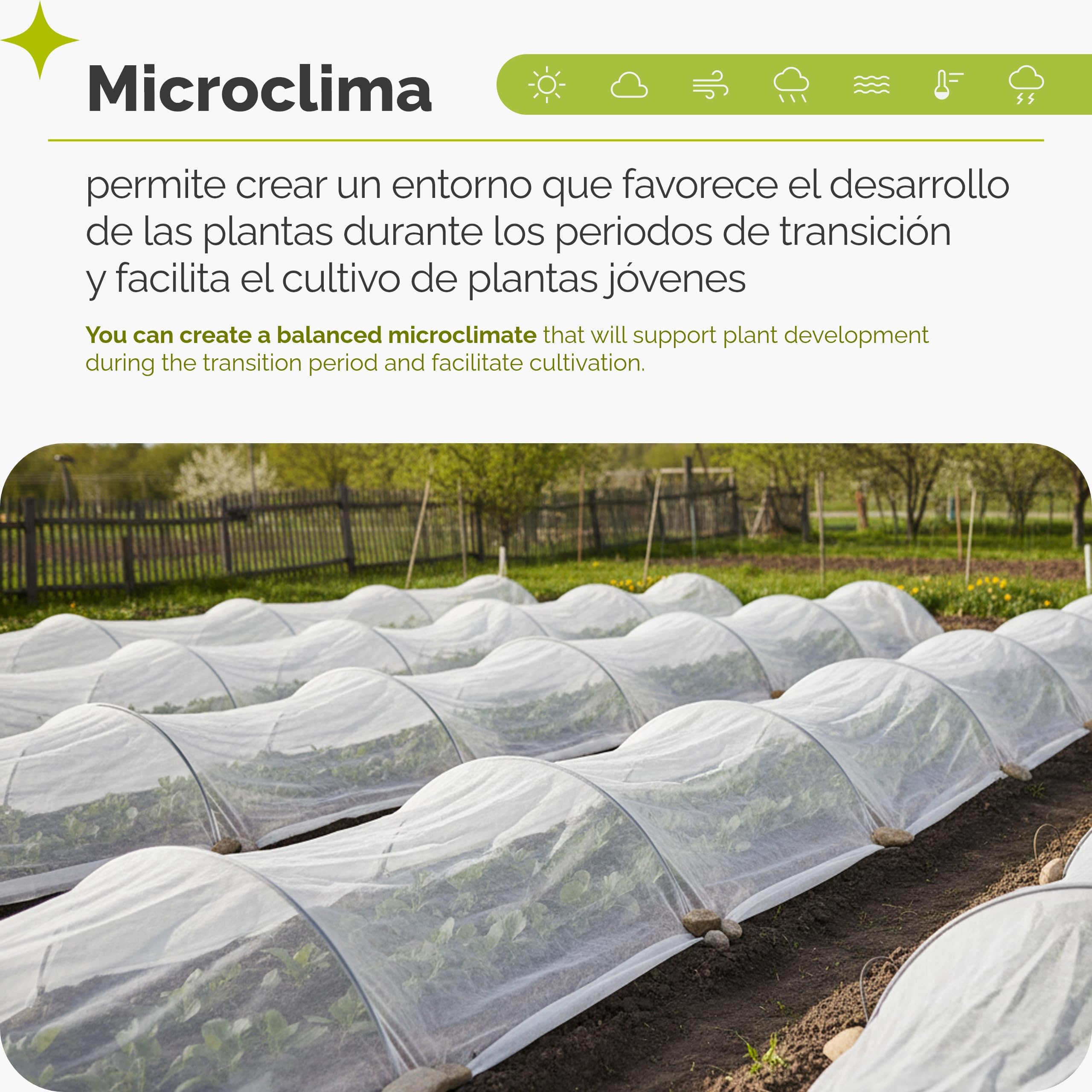 Garronda Manta Térmica para Plantas 2,1x100 m Antiheladas 17g/m² GD-0175