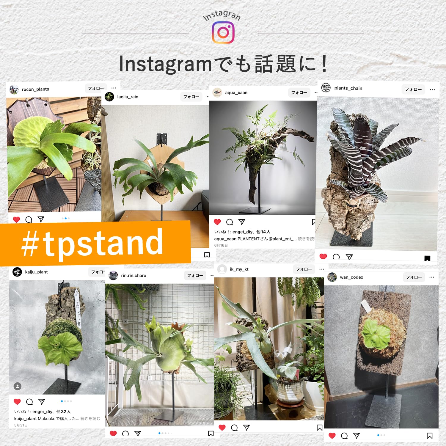 yk　2コセット　ビカクシダ 鑑賞用スタンド yk 2コセット ビカクシダ 鑑賞用スタンド 楽天市場】PLANT STAND