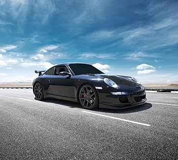 hips lips Competition Clutch Full Face Clutch Disc | Multiple Fitments