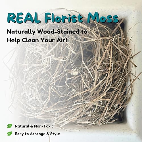 Miniatura 35 de Good Pet Stuff Kit original de caja de arena oculta y forro reutilizable, maceta redonda cerrada con plantas artificiales, sistema de filtro de olor