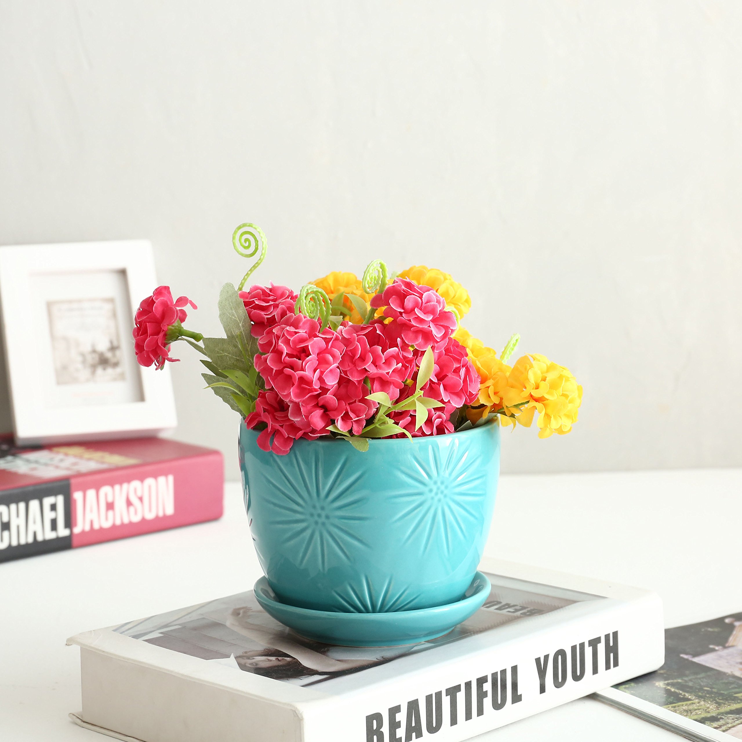 Amazon.com: MyGift Aqua 陶瓷室內植物花盆帶排水孔和裝飾旭日