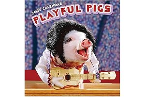 TF Publishing 2025 Pocket Pigs Mini Calendar: Ultimate Planning Tool for Pig Lovers