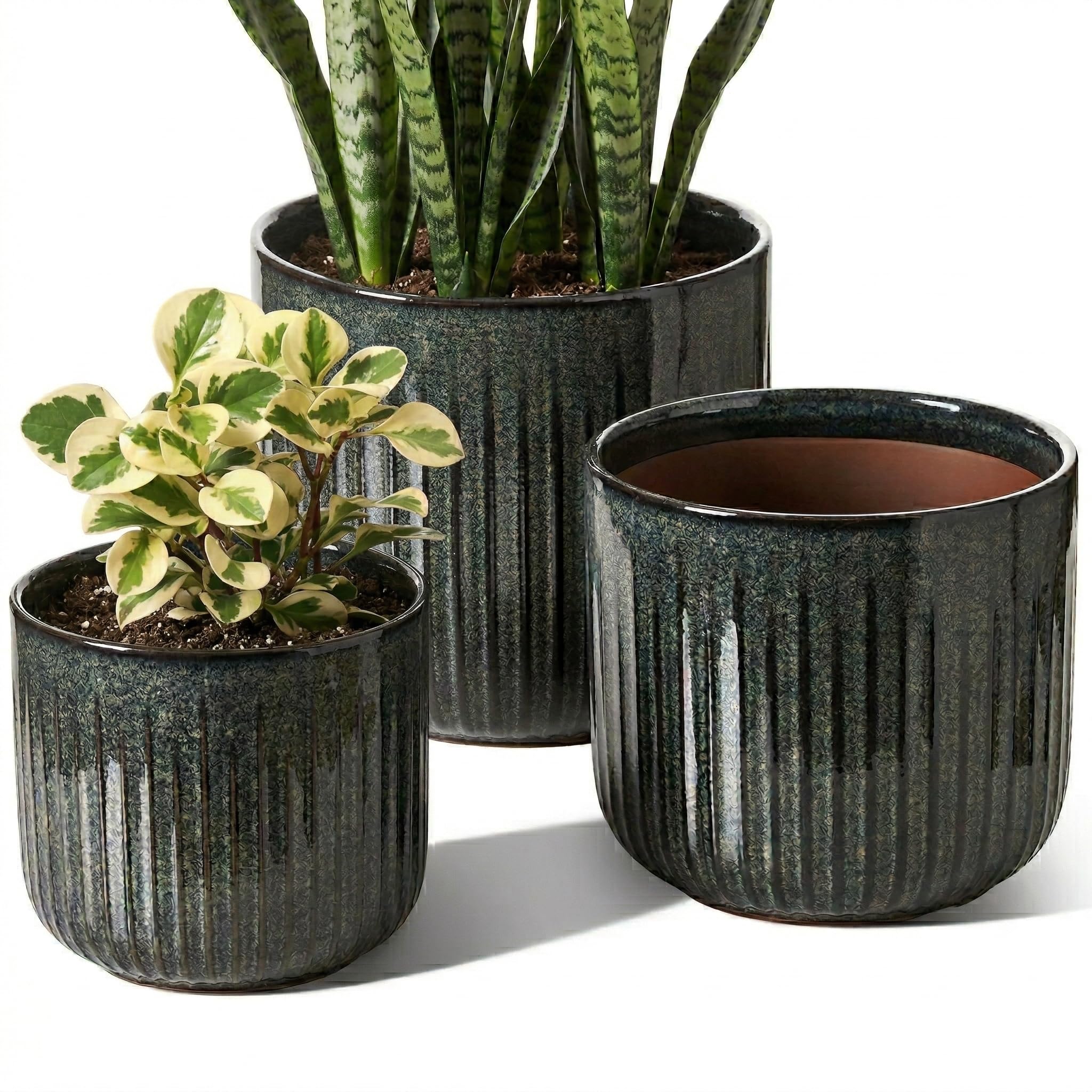 LE TAUCI Ceramic Pots Set of 3