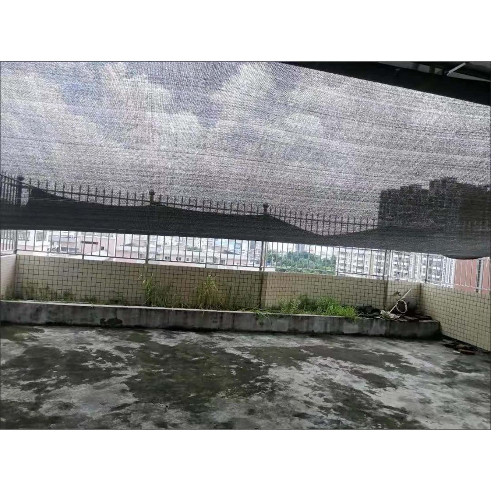 View 5