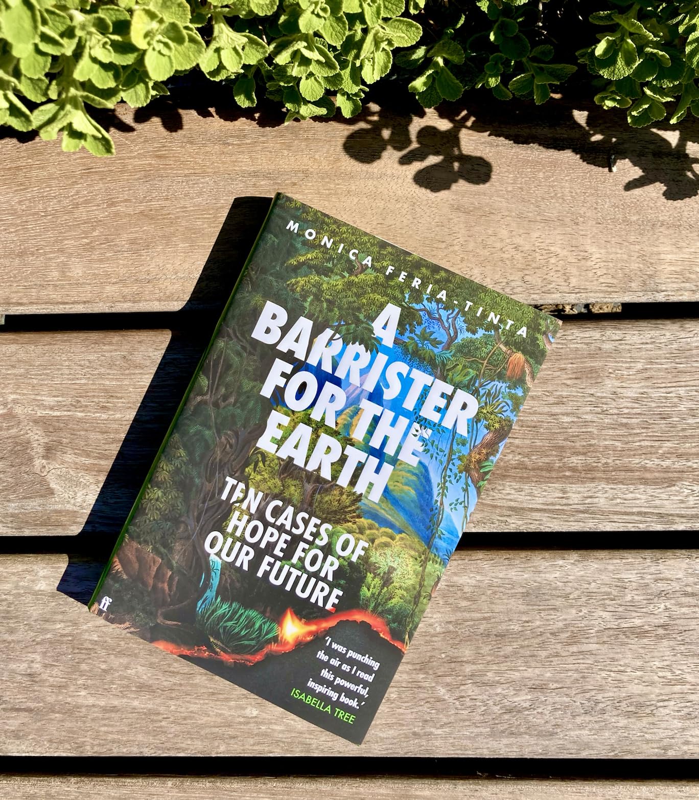 A Barrister for the Earth: Ten Cases of Hope for Our Future