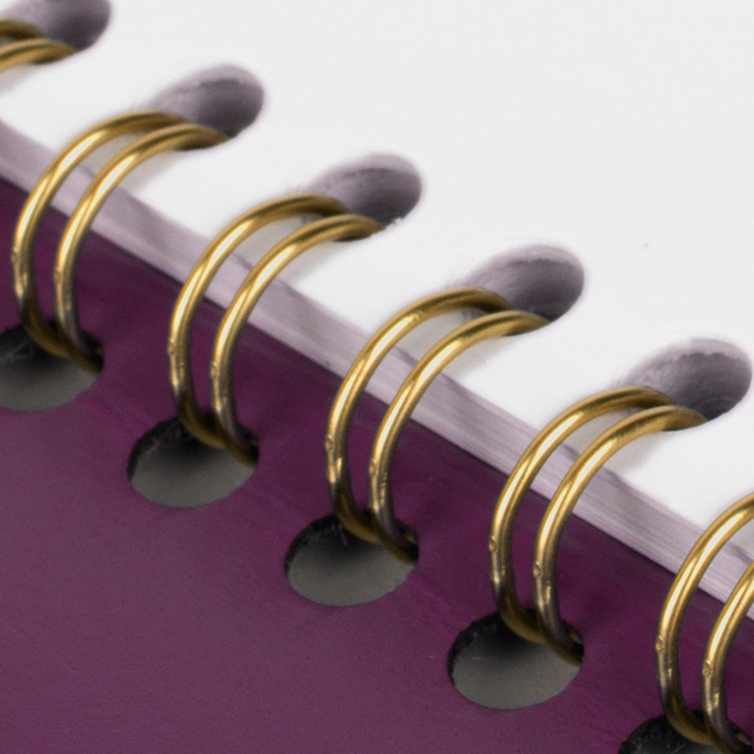AT-A-GLANCE Agenda 2027, mensile, 22,9 x 27,9 cm, contemporaneo, viola (70250 x 1427)