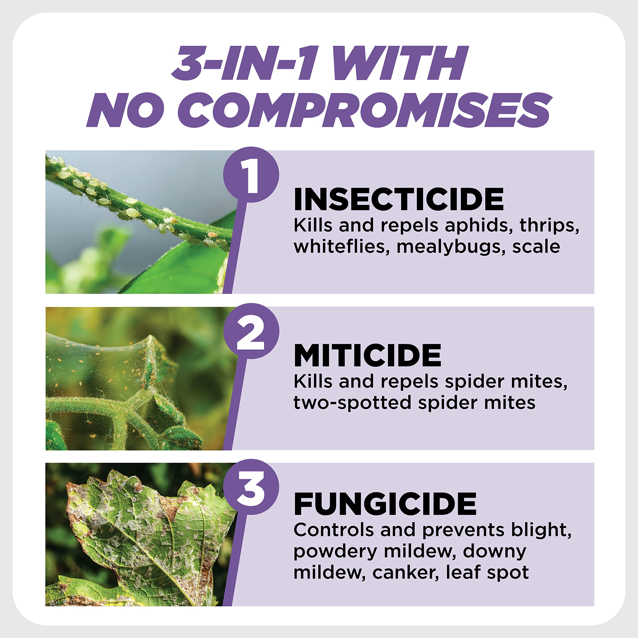 Buy Earth's Ally 3in1 Plant Spray Concentrate Insecticide, Fungicide & Spider Mite Control