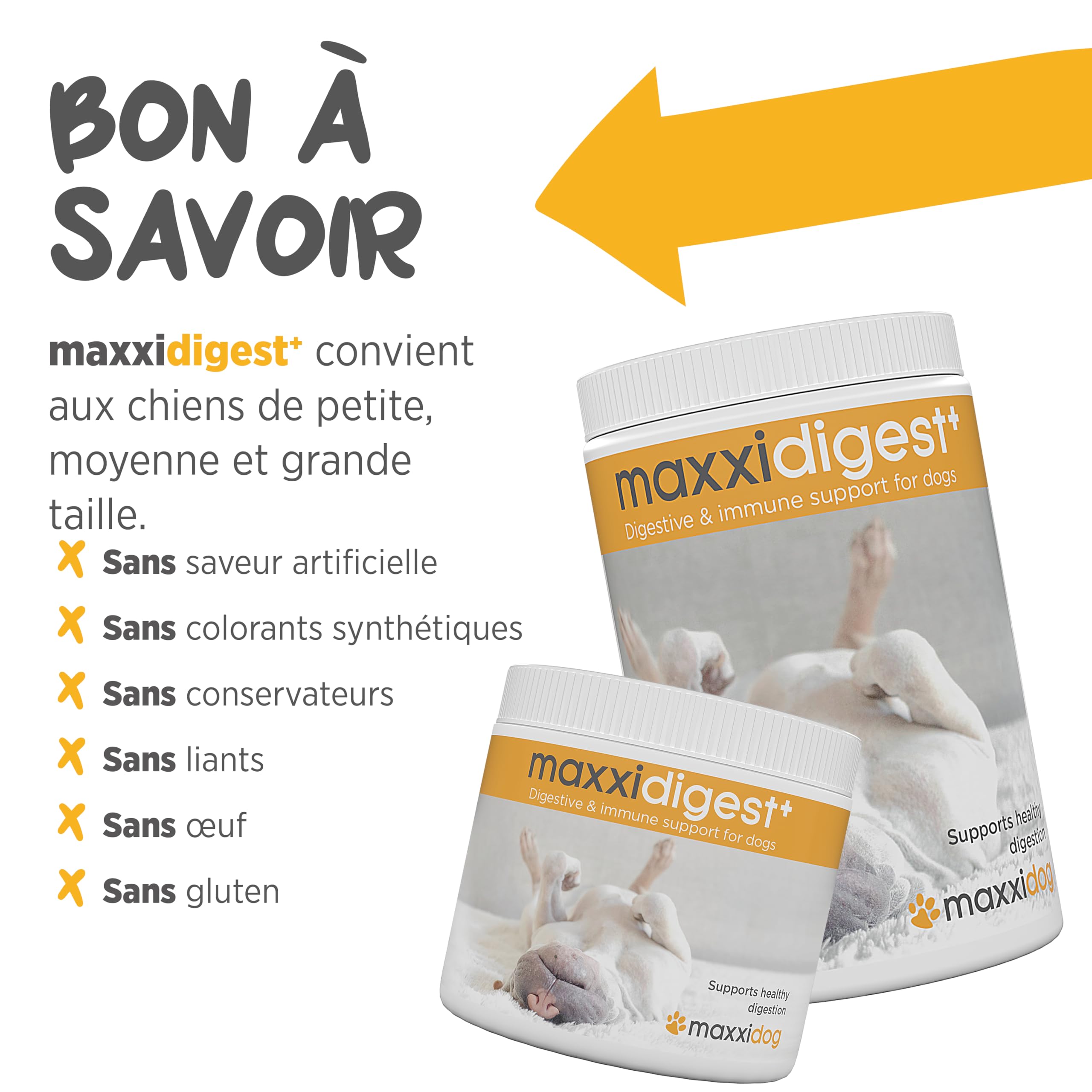 maxxipaws - maxxidigest+ Probiotiques, prébiotiques et enzymes digestives pour chiens - Complément avancé pour le système digestif et le système immunitaire des chiens - Poudre sans OGM - Poudre 375 g