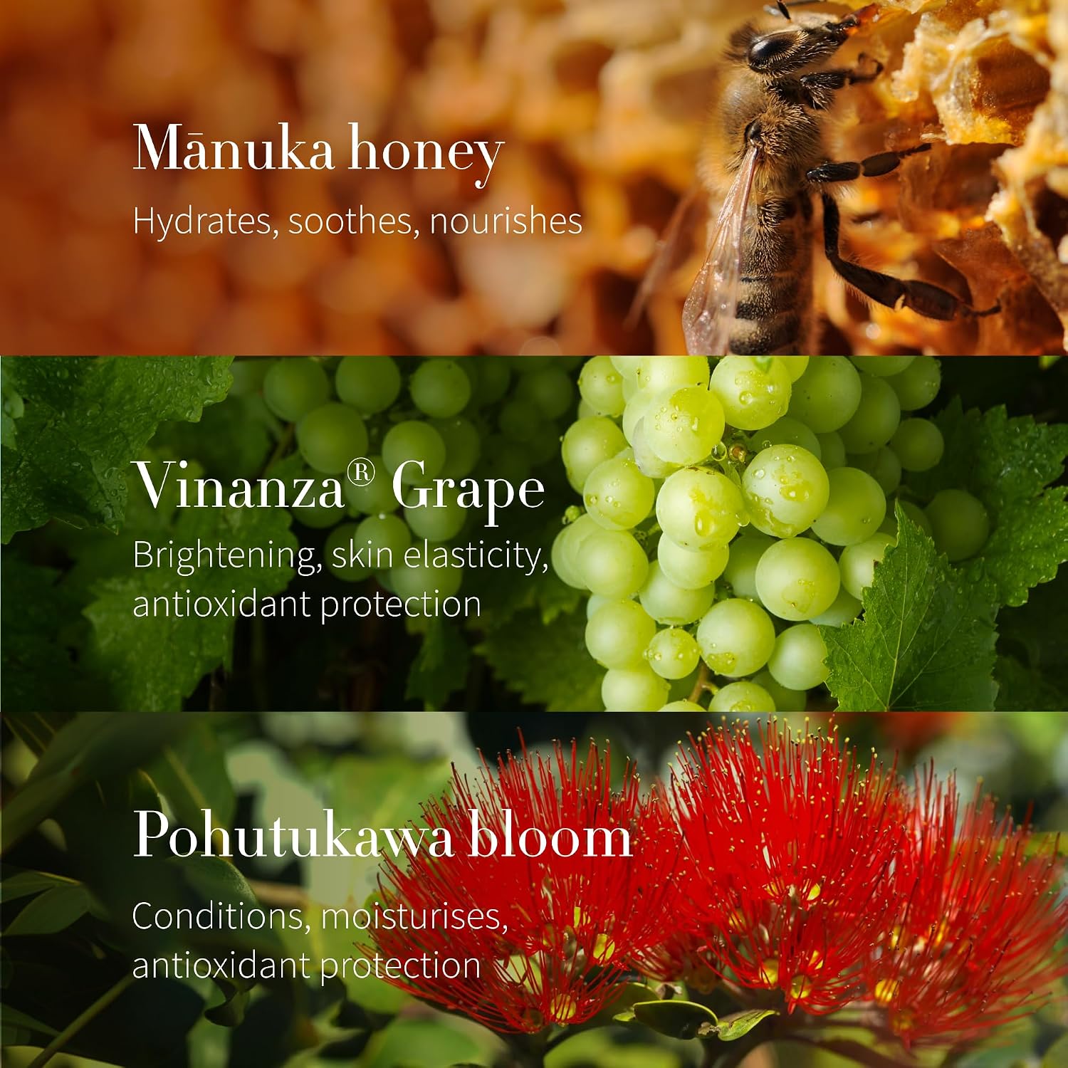 Antipodes Aura Mānuka Honey Mask, view 5