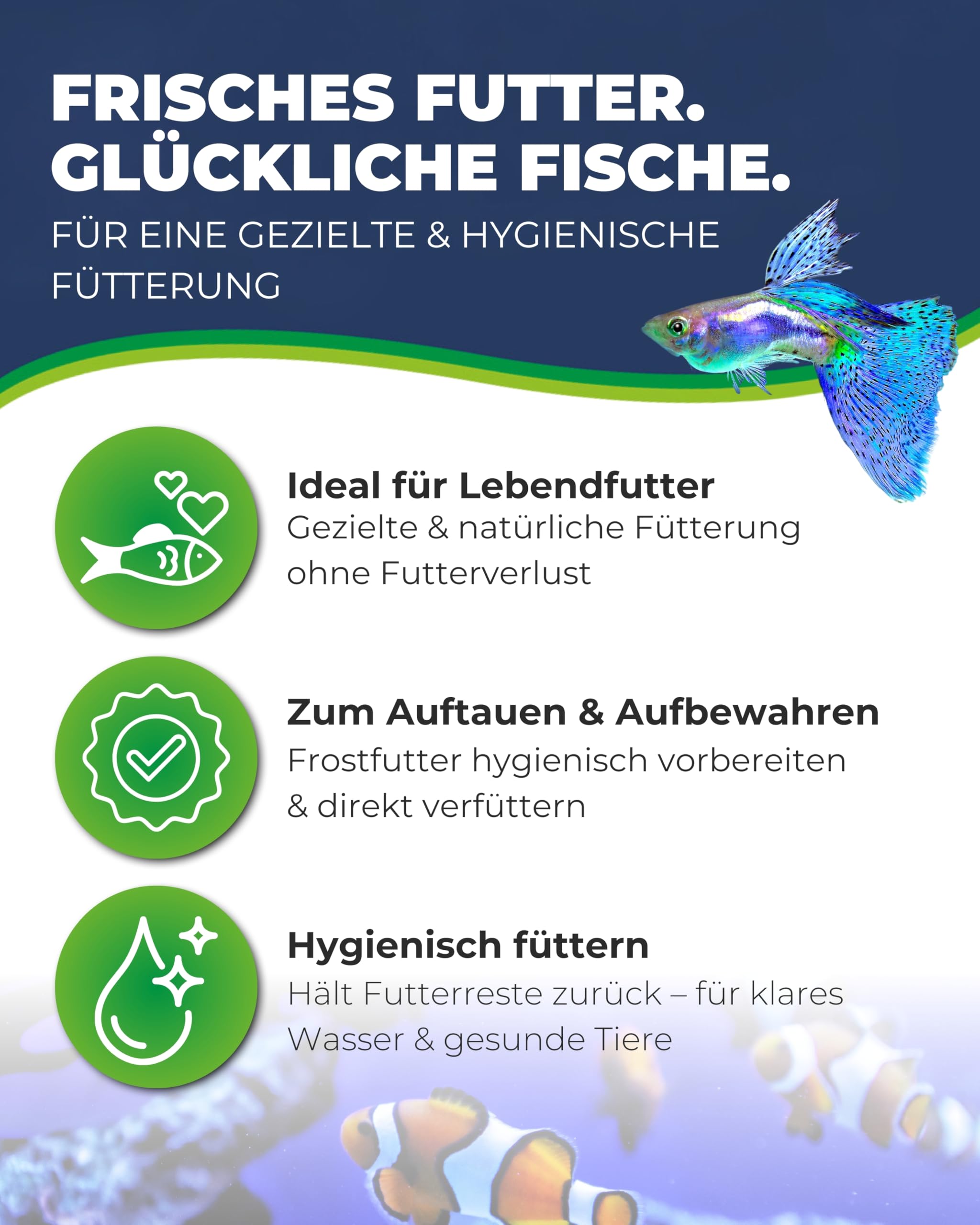 HOBBY Aquaristik Multibox I 10 x 10 x 6 cm I Futterbehälter für Aquarien I Behälter mit Sieb für Frostfutter und Lebendfutter I vielseitige Aufbewahrungslösung für Fischfutter I Aquarium Zubehör