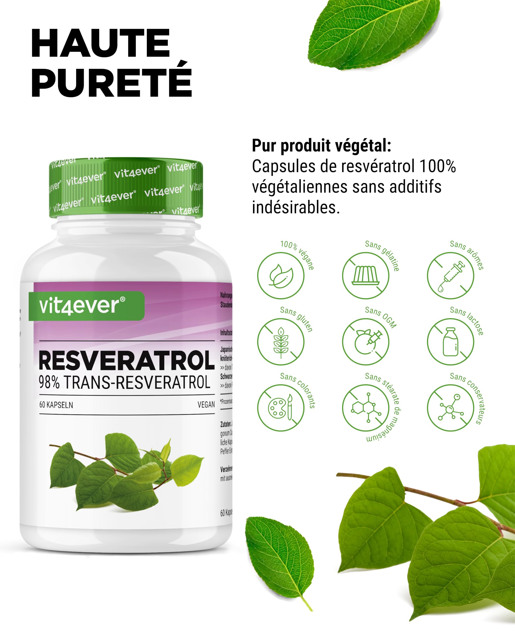 Resvératrol - 520 mg par Gélule - 98% Trans-Resvératrol de l'Extrait de Racine de Renouée du Japon 100:1 + Pipérine pour une Biodisponibilité Optimisée - 60 Gélules - Hautement Dosé - Vegan