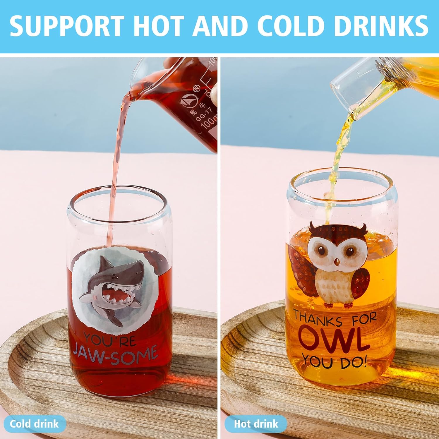 Tioncy 12 Pcs Employee Appreciation Gifts Thank You Gifts for Staff Coworker 16 oz Animal Pun Glass Inspirational Can Drinking Cups with Lids Straws for Christmas Colleagues Coworkers Teacher Nurse