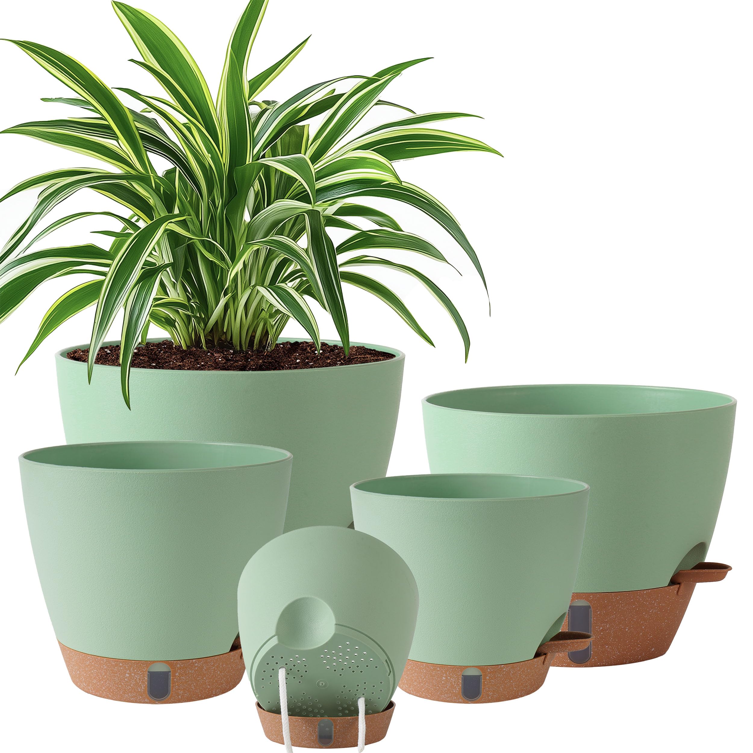 Fielda 5-Pack Self Watering Pots
