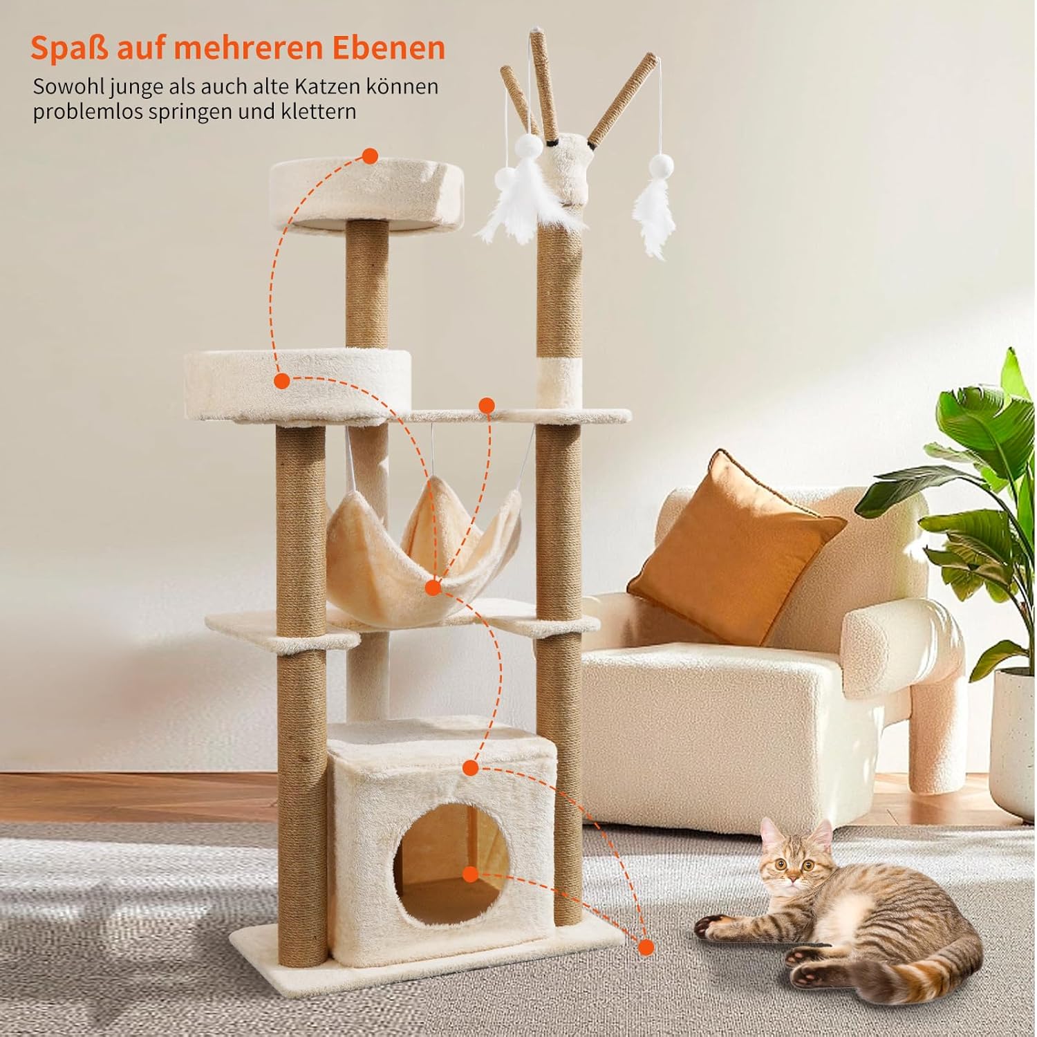 Macskakuckó használat közben - macskák játszanak