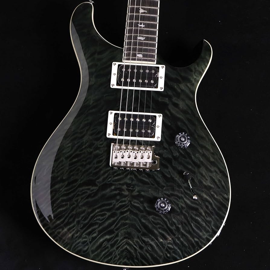 Amazon | PRS SE Custom24 Quilt Gray Black 限定モデル ポールリード Amazon | PRS SE Custom24 Quilt Gray Black 限定モデル ポールリード
