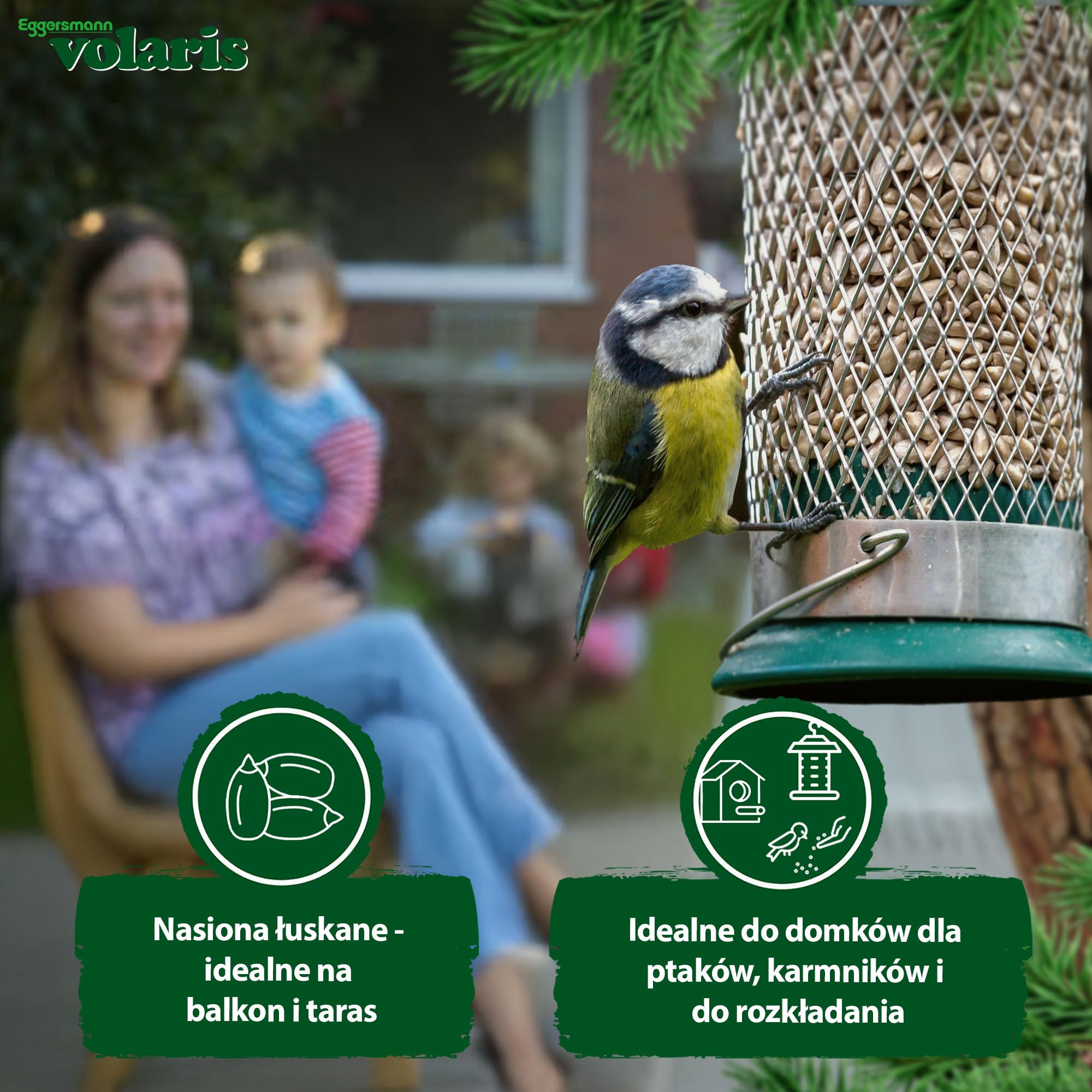 Eggersmann volaris Nasiona słonecznika łuskane 2,5 kg – wysokiej jakości karma dla dzikich ptaków – łuskane nasiona słonecznika bogate w tłuszcz i energię – karma dla dzikich ptaków bez skorupy, do