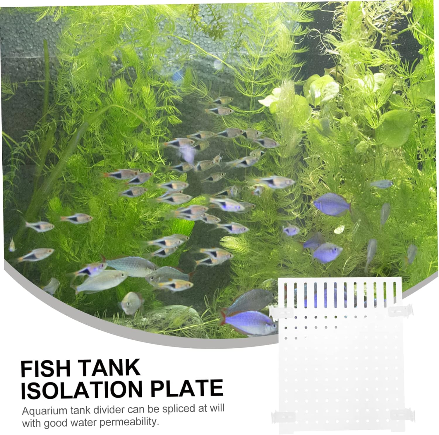 Milisten Acrylic Fish Tank Divider Isolation Board Transparent Aquarium Separator for Fish Cups Easy to Install Increases Survival Rate