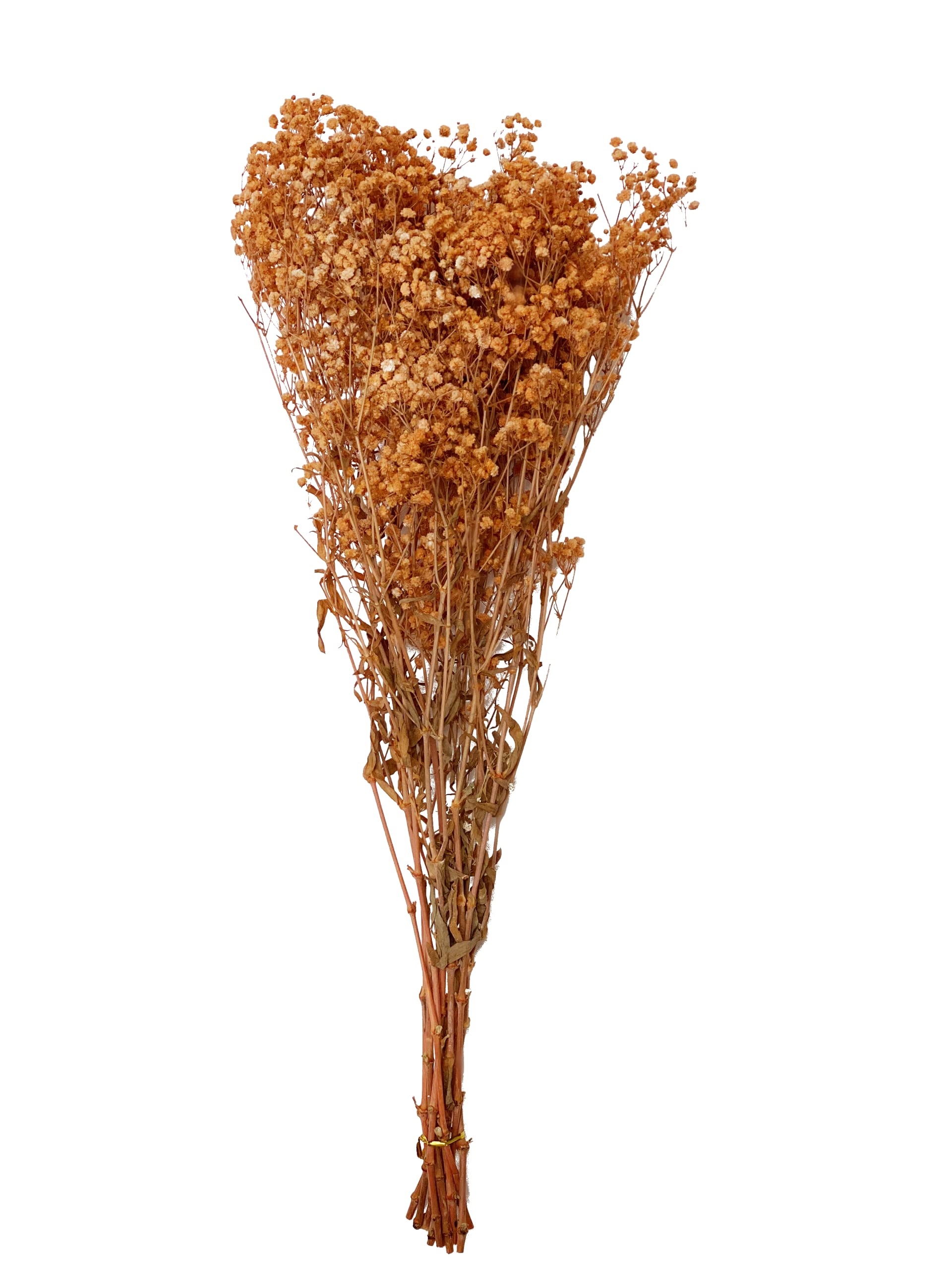 CalCastle CraftCalCastle Craft Dried Flower Natural Babys Breath 27" H 4.5oz Large Bundle Gypsophila Perserved for Wedding Bouquet Home Décor (Orange)