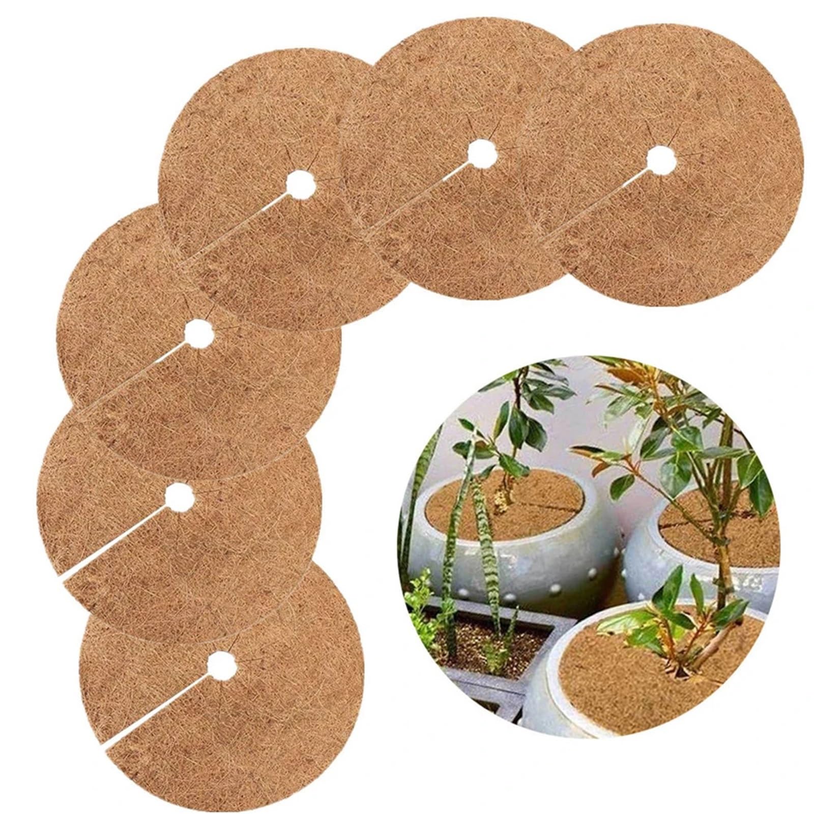 Kokosmatte 6er-Pack Kokosnussmulchschalen, Durchmesser 30 cm, Winterschutz for Pflanzen, Pflanzgefäße