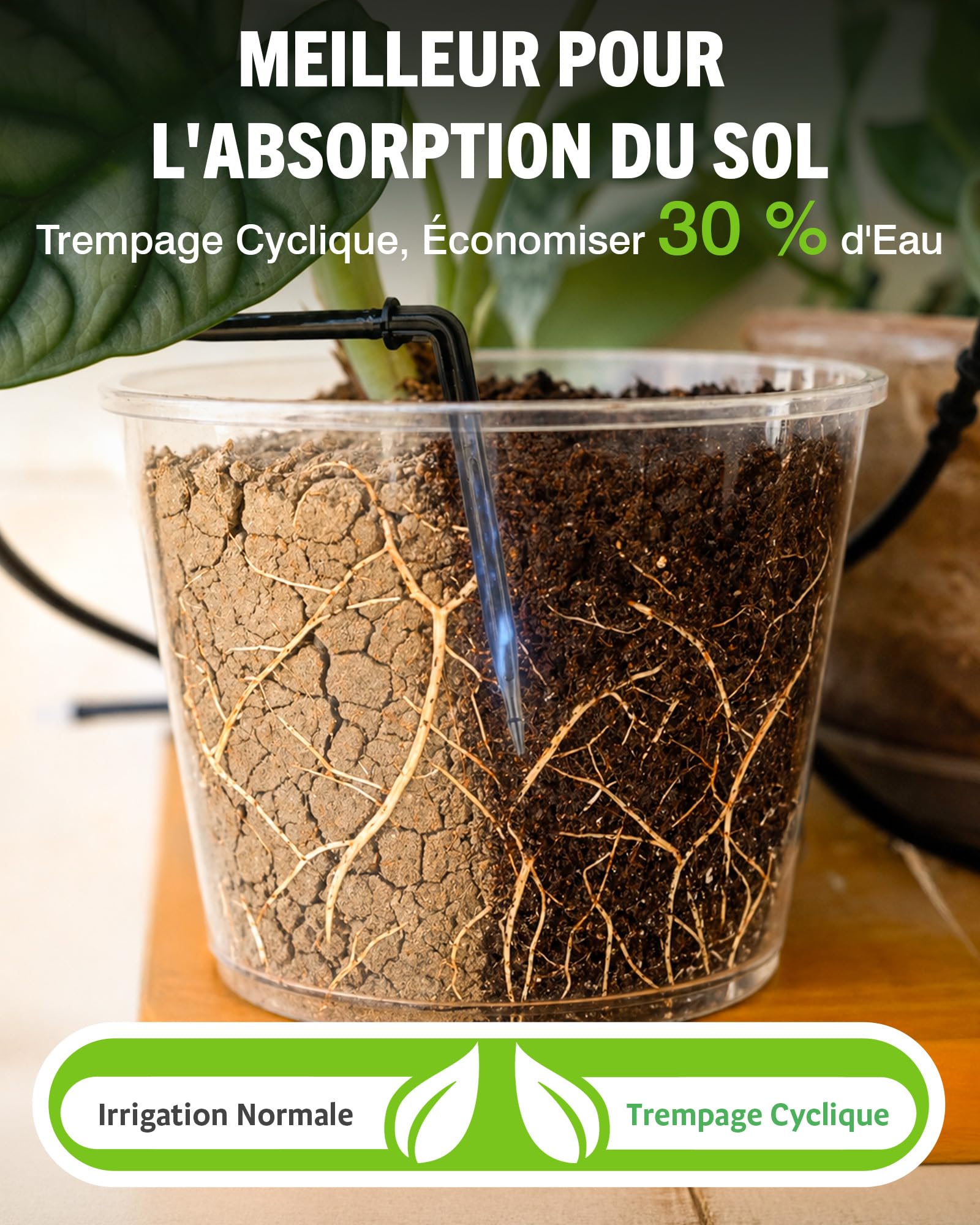 RAINPOINT Arrosage Automatique Interieur WiFi, Contrôle à Distance via APP, Arroseur Automatique pour Plantes d’Intérieur, Arrosage Goutte à Goutte avec Batterie Rechargeable, Jusqu’à 15 Plantes