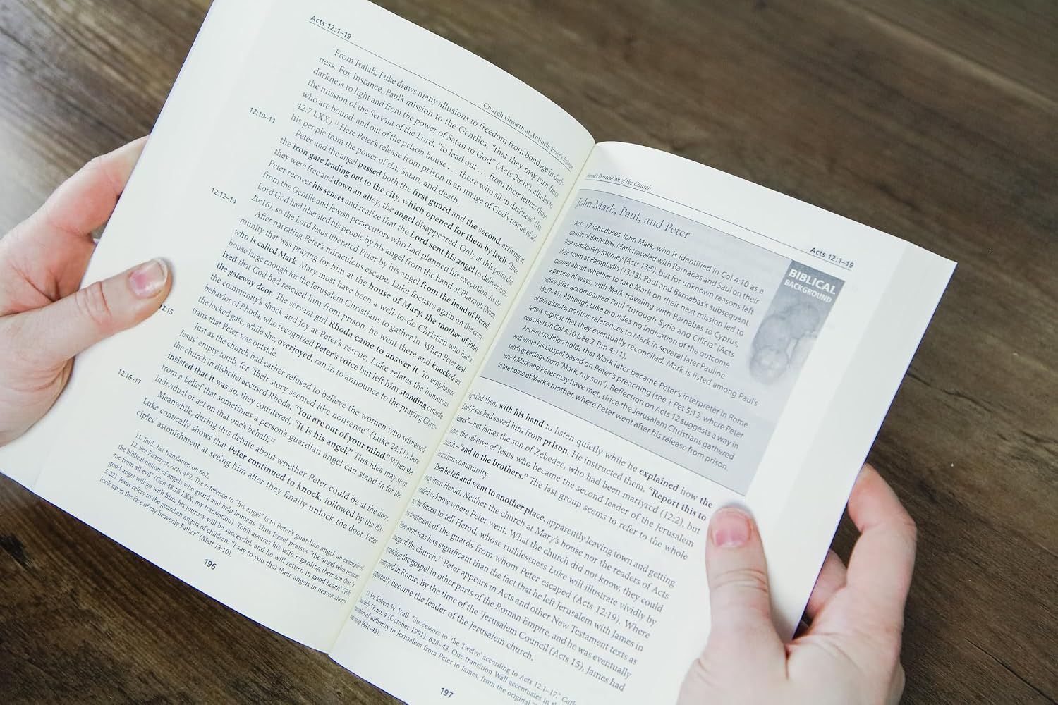 Acts of the Apostles: A Catholic Bible Commentary on the New Testament by Trusted Biblical Scholars | CCSS (Catholic Commentary on Sacred Scripture)