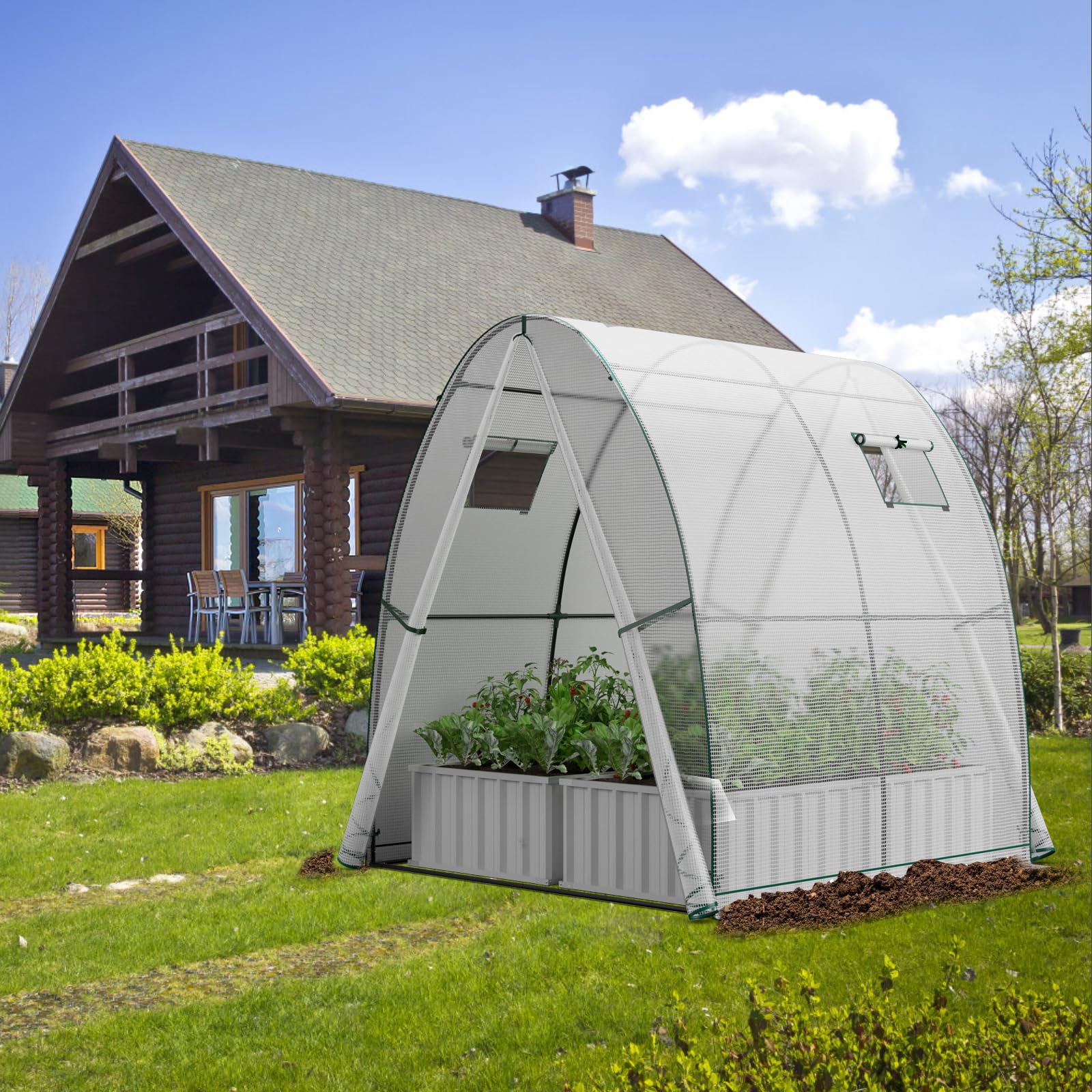 HOMASIS Serra Tunnel con Porta a Rullo e 2 Finestre, Serra da Giardino in PE e Telaio in Metallo, Serra da Balcone per Pomodori, 181 x 181 x 200 cm (Bianco)