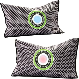 2 x Car or Home Dehumidifier Bags – Reusable Condensation Absorbers with Moisture Indicator – Prevents Damp, Mould, Mildew, Musty Odours & Rust, L16cm x W10.5cm x D3cm