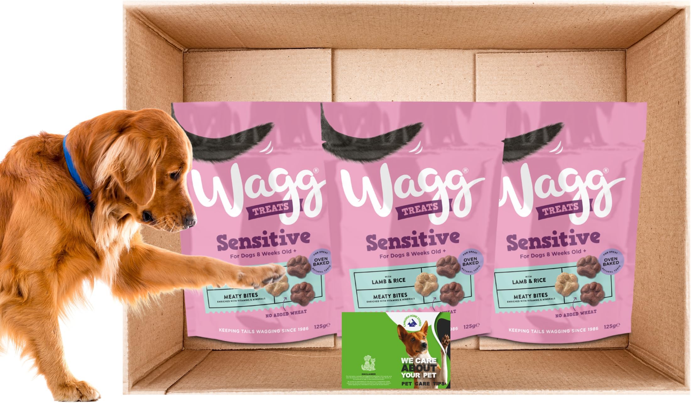 Wagg Dog Food (Sensitive Treats 2 x 125g) Amazon.co.uk Pet Supplies