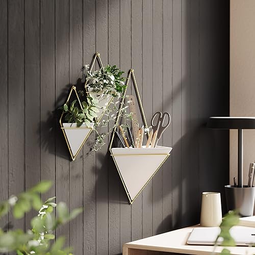 Miniatura 7 de Umbra Trigg  Maceta colgante y recipiente geométrico para decoración de pared ideal para plantas suculentas plantas de aire mini cactus plantas