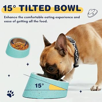 Bzyoo 2 Cup Tilted Dog Bowl with Measuring Scoop for Small Dogs & Cats, Stylish Sprinkle Design, Elevated, Stainless Steel 16oz Inner Bowl, Non-Skid, Help Cotain Spills Color:Green