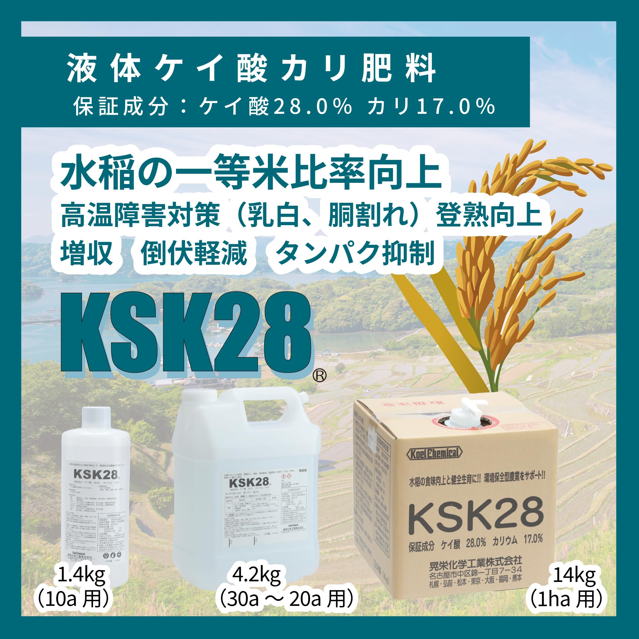 燃える平原児('60米) Amazon.co.jp: 液体けい酸カリ肥料 KSK28 1.4kg 水稲 稲作 米 一