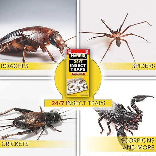 Miniatura 4 de Harris Trampa para insectos 247 para cucarachas, arañas, chinches, grillos, escorpiones y más, paquete de 20 unidades