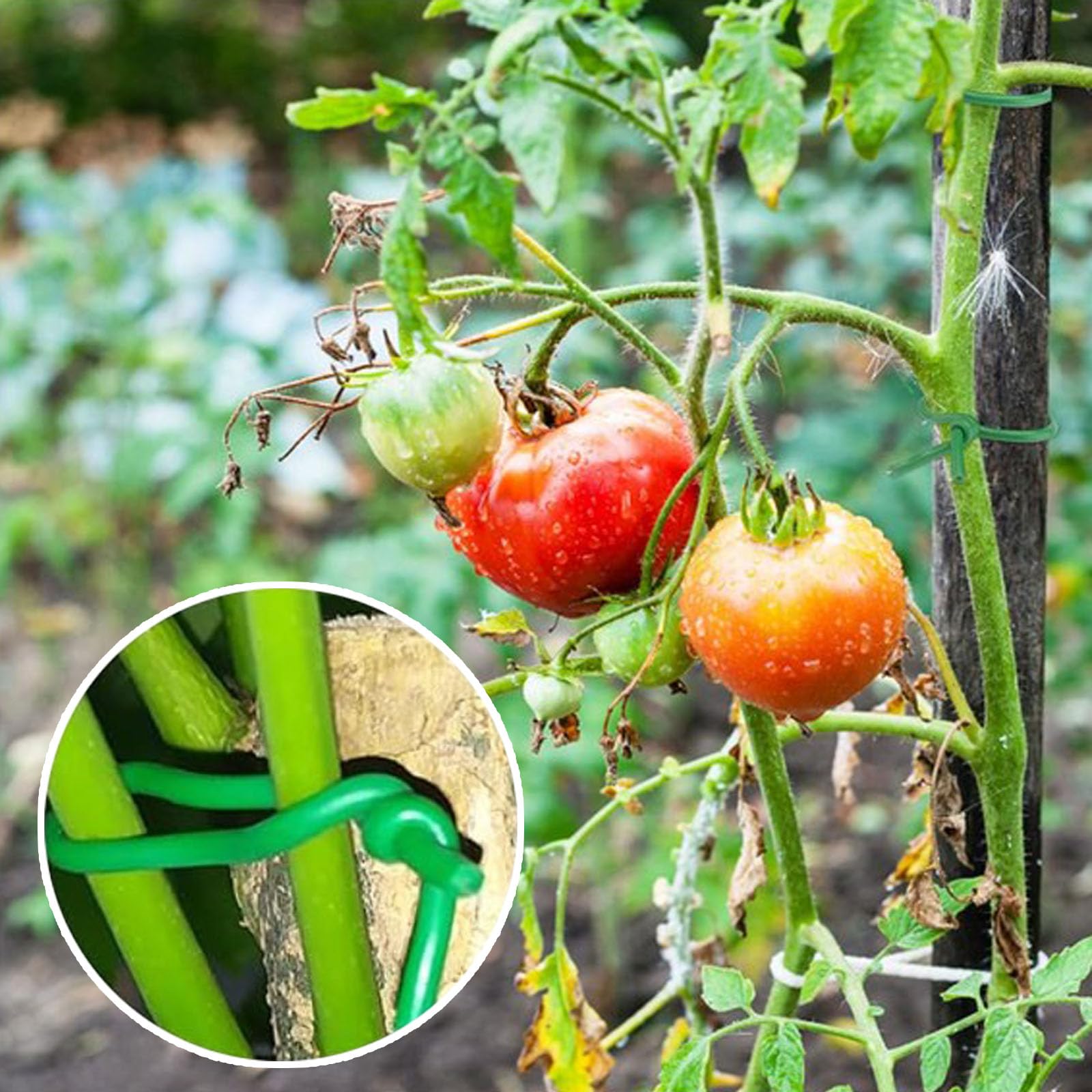 Filo Di Ferro Verde Per Piante - Modellabile Per Giardinaggio, Recinzioni E Artigianato - Foto 13