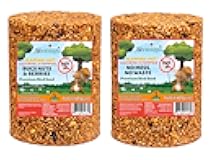 Squirrel Stopper No Mess, No Waste Large Cylinder with Hole 4.5lbs (2-Pack)