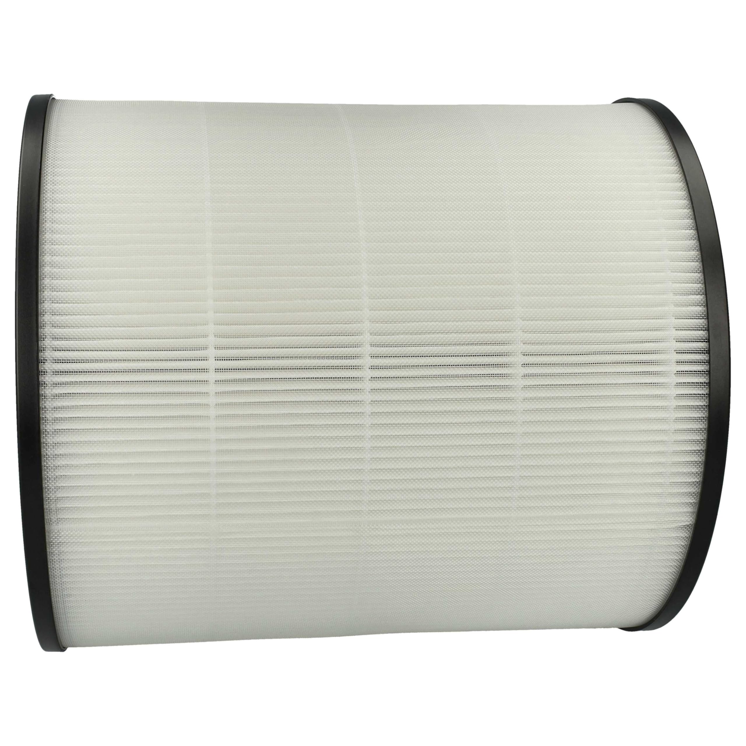 vhbw Filtr H13 kompatybilny z Philips AC1715/10, AC1715/11, AC1715/30 oczyszczacz powietrza, wbudowany filtr z węglem aktywnym