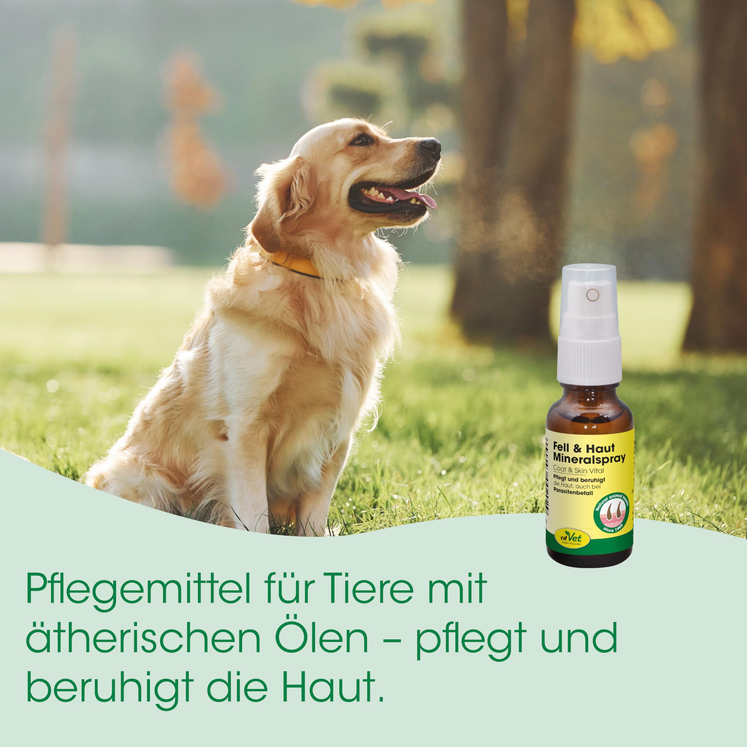 cdVet naturalny produkt Fell & Haut Mineralspray 500 ml - pies, koń - produkt do pielęgnacji - atak pasożytu - pielęgnuje i uspokaja skórę - łupież + sucha skóra + matowy płaszcz - czyszczenie -
