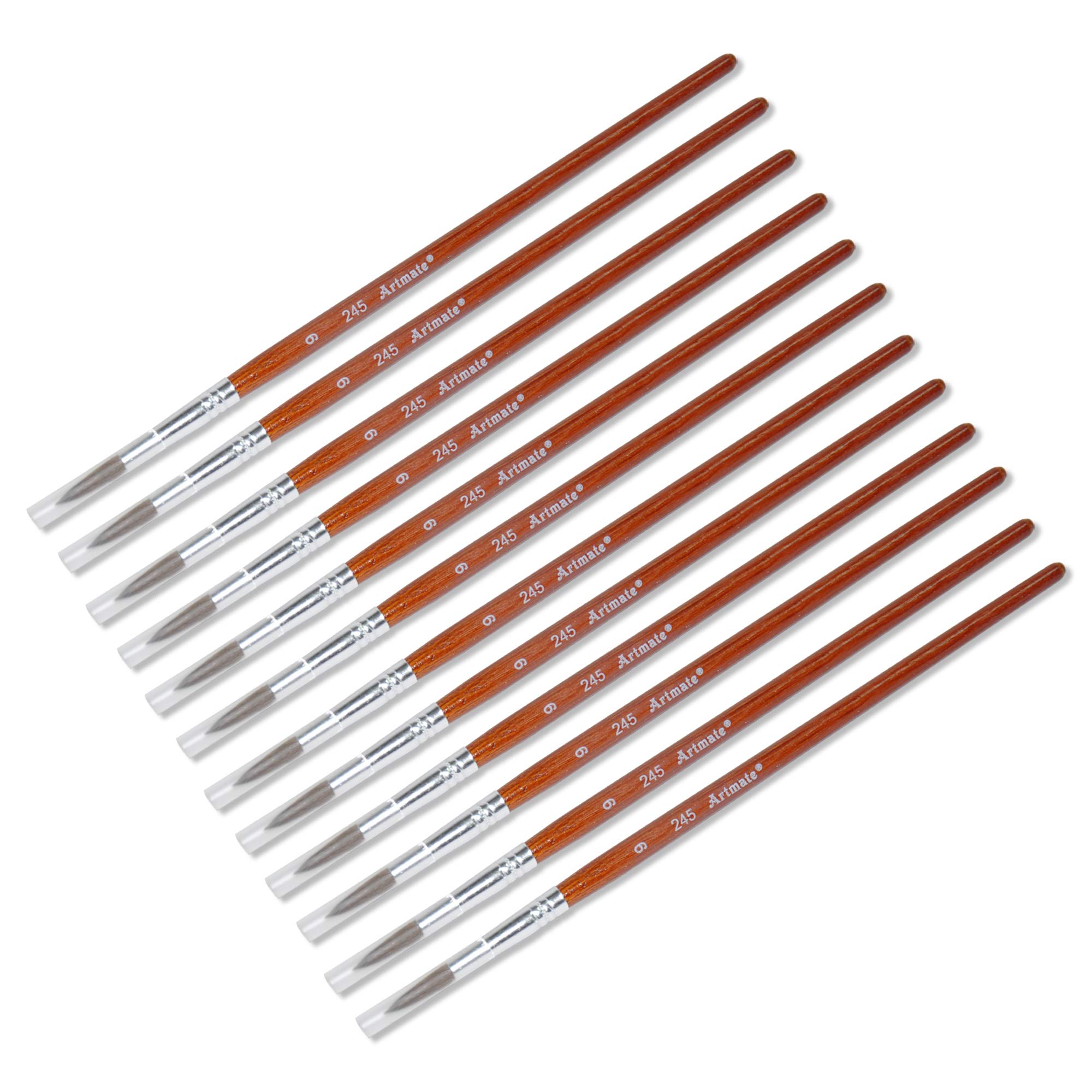 ARTMATE Artist Brushes, Set of 12 Pieces with Round Brushes, Class Pack Artist Size 9#, and Wooden Handle, Ideal For Drawing and Painting Use-JIAB245-9