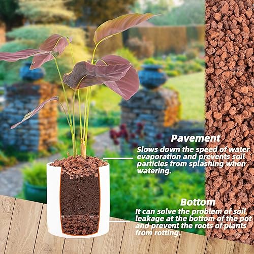 Miniatura 2 de Rocas de lava roja de 1.5 libras para plantas, paisajismo decorativo, gránulos de roca de lava de 12 pulgada, aderezo superior para cactus,